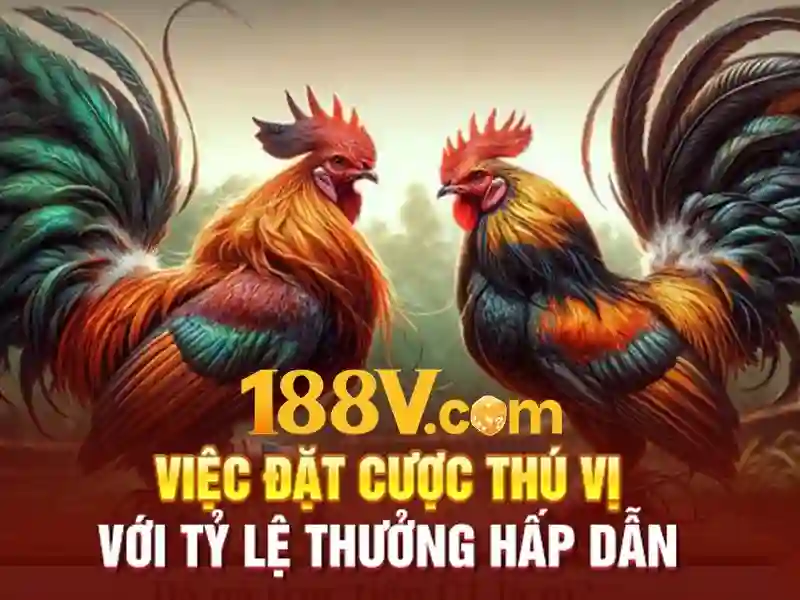 ưu đãi 188v: trải nghiệm ưu đãi và đánh giá chi tiết